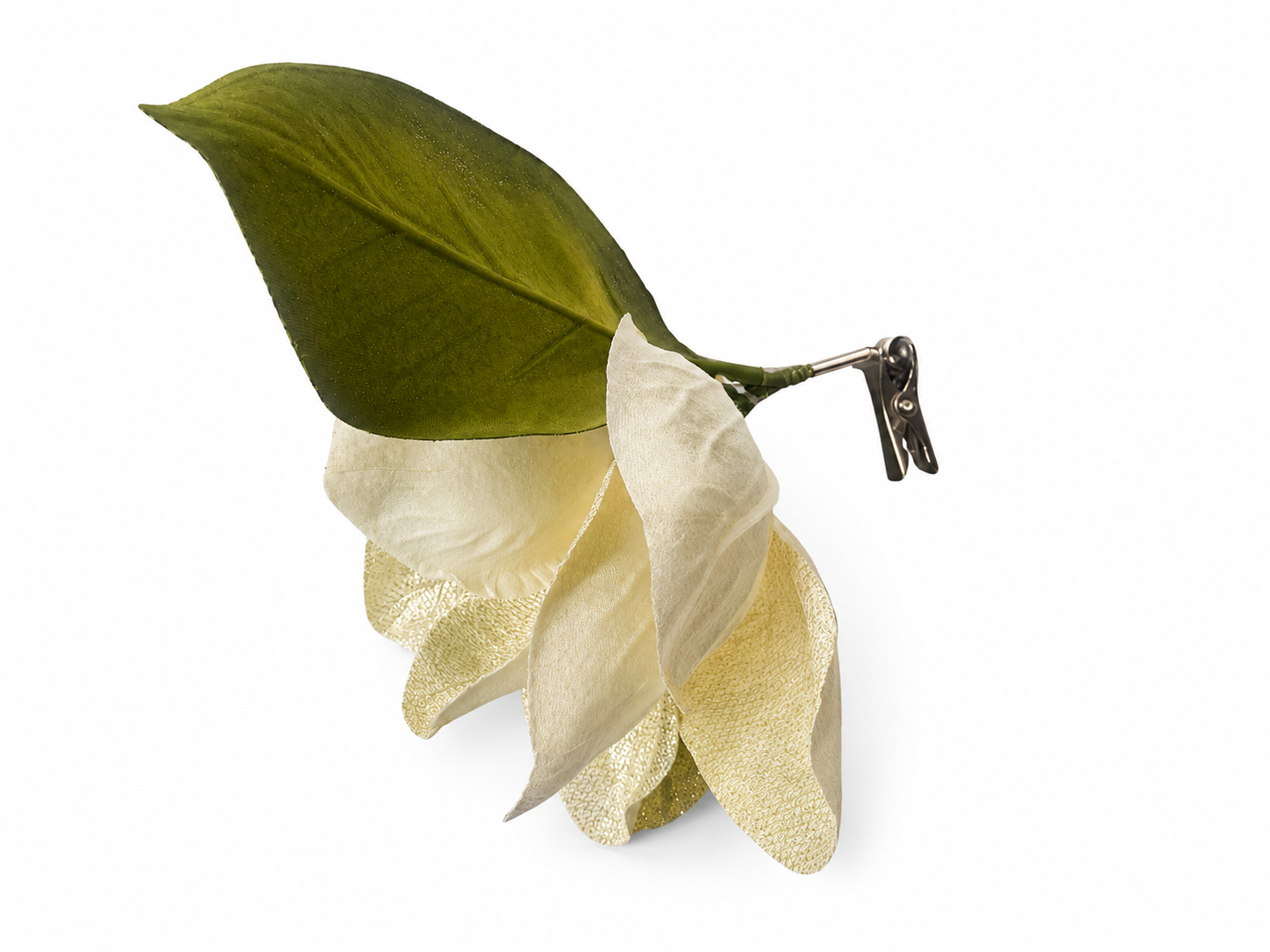 10" Clip on Golden Magnolia