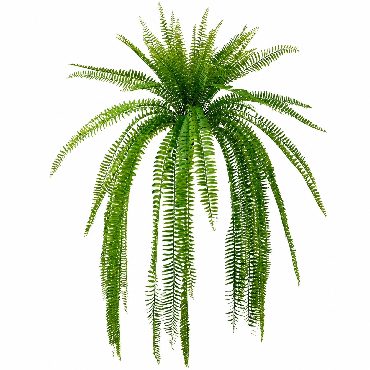 Real Touch UV Protected Boston Fern (2-Sizes)