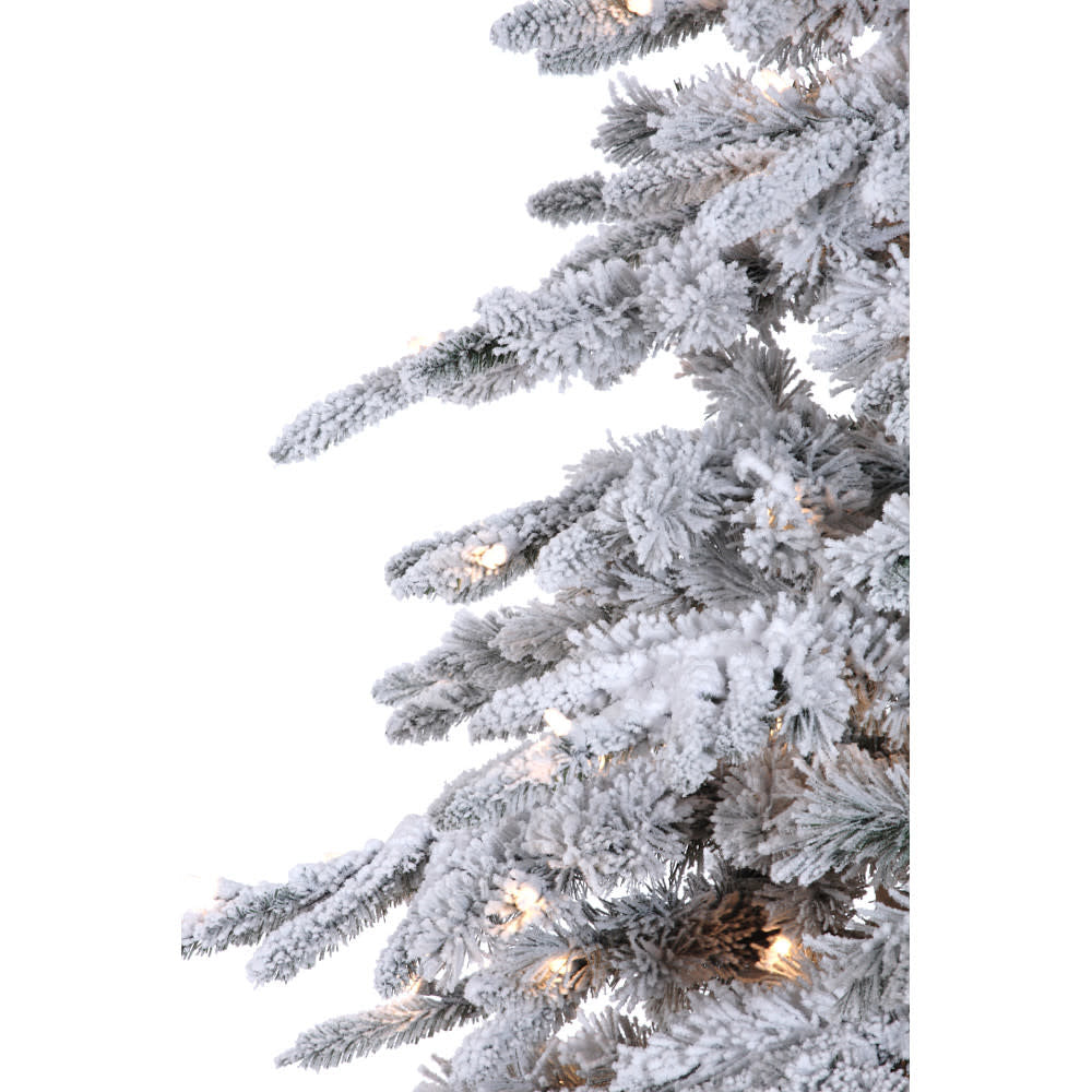 Flocked Stay-Lit Balsam Tree (4 Sizes)