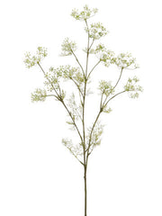 White Dill Spray
