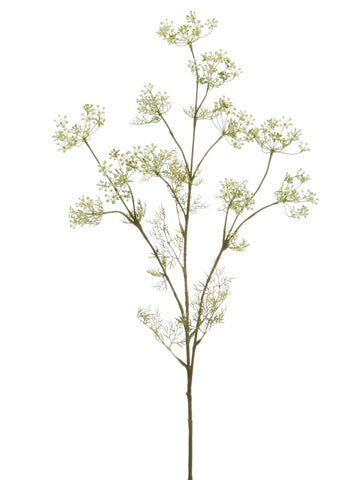 White Dill Spray