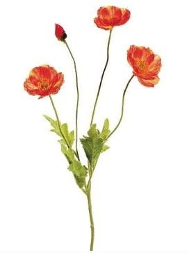 Natural Poppy Spray (4-Colors)