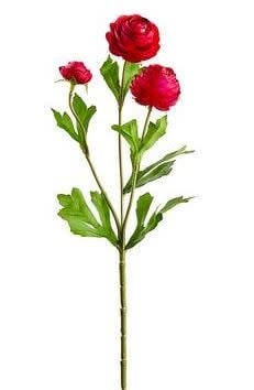 Mini Ranunculus Spray (5-Colors)