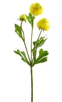 Mini Ranunculus Spray (5-Colors)
