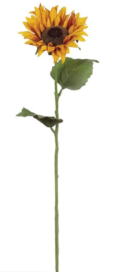 24" Garden Sunflower Stem