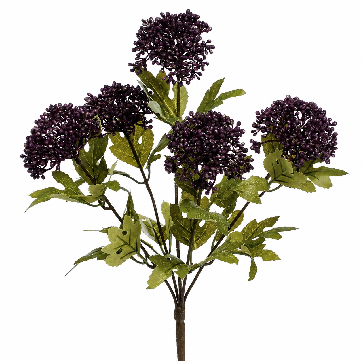 Multi-Yarrow Bush