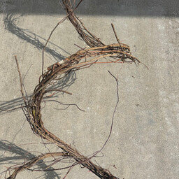 24' Grapevine Bundle