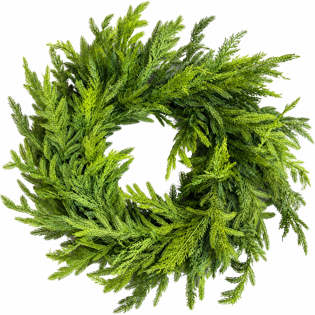 30" Real Touch Cedar Norfolk Pine Wreath