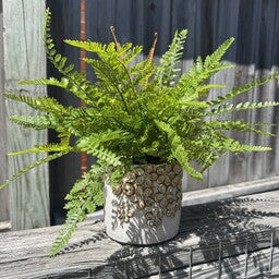 Custom Mixed Fern in Golden Flower Petal Container
