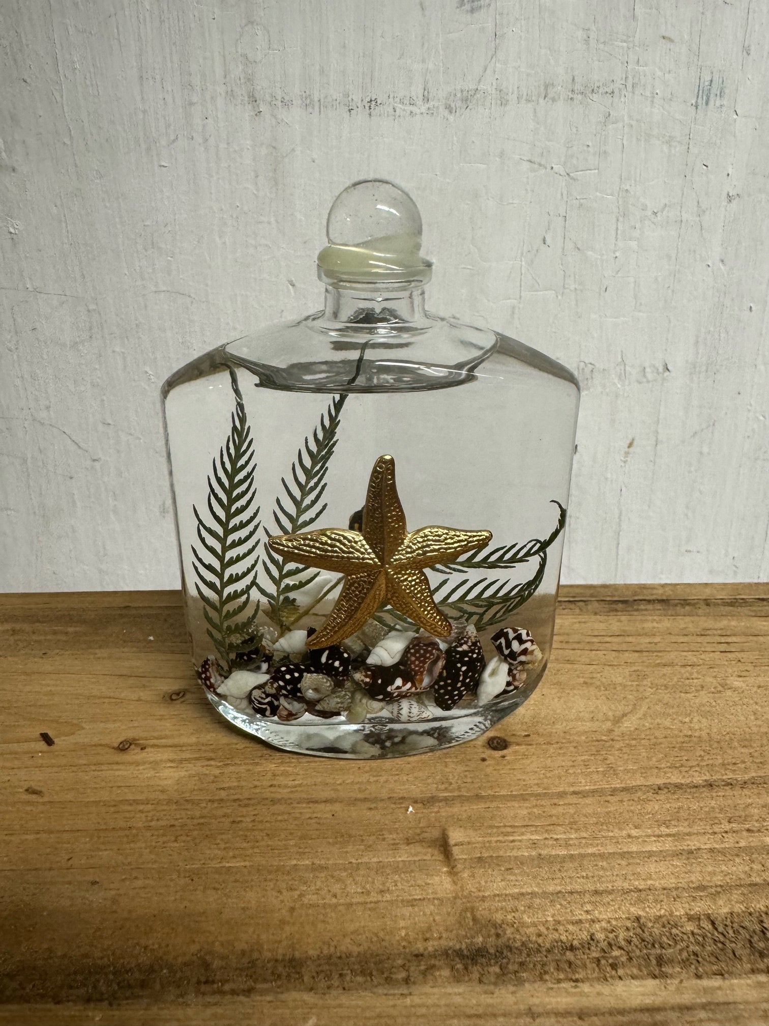 Seashell Lifetime Candle (9-Styles)