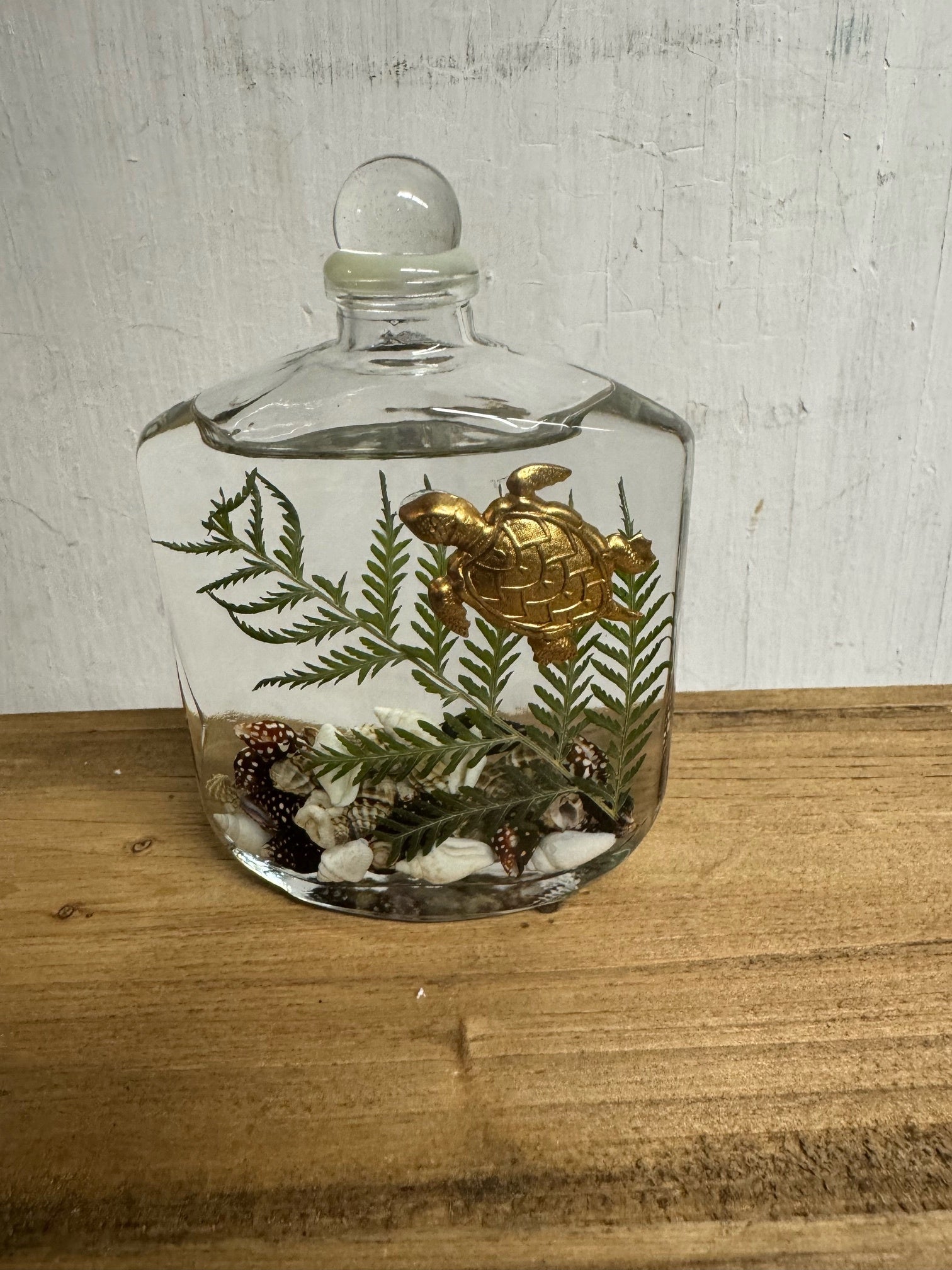 Seashell Lifetime Candle (9-Styles)