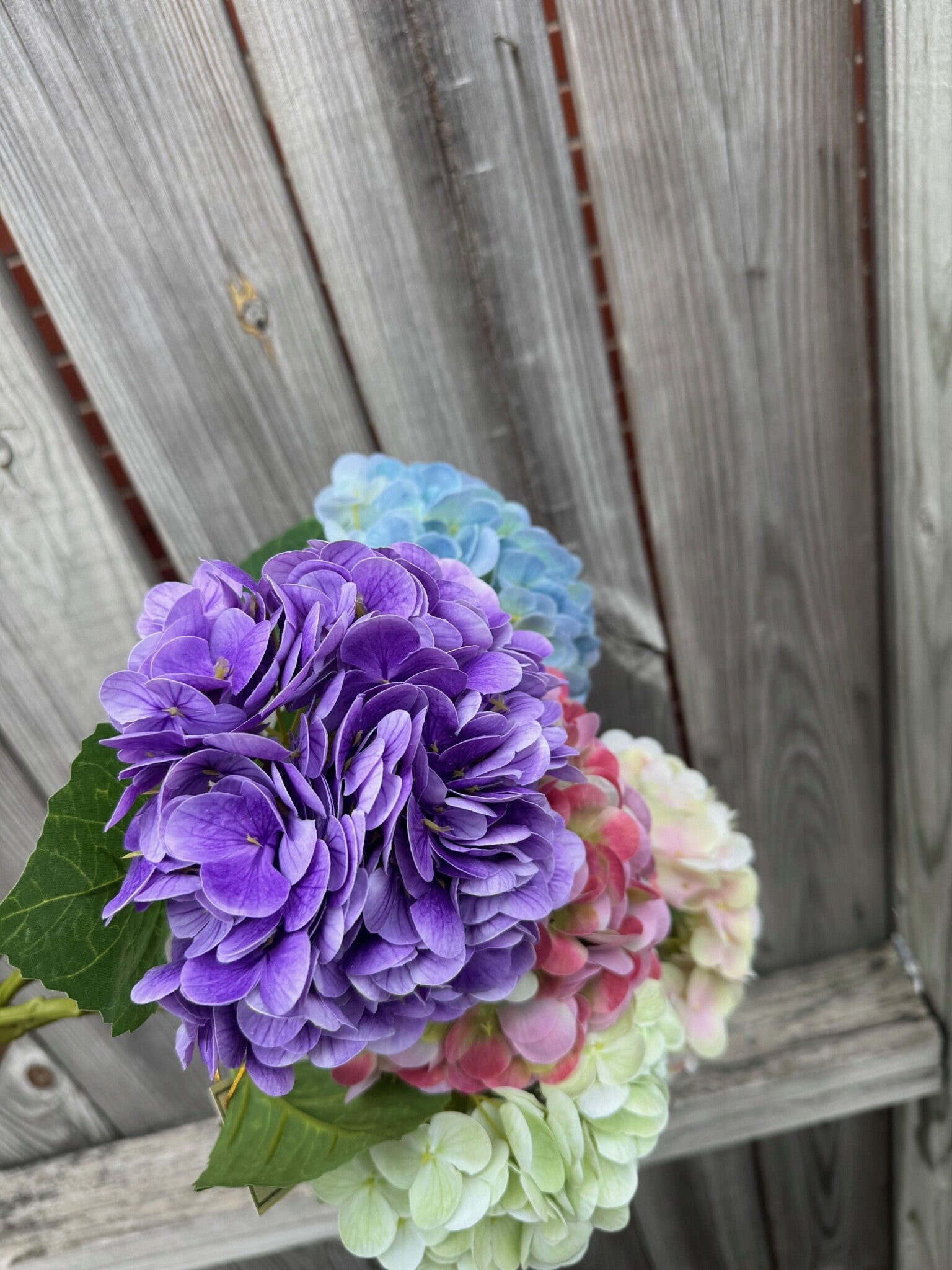 Natural Touch Vibrant Hydrangea (5-Colors)