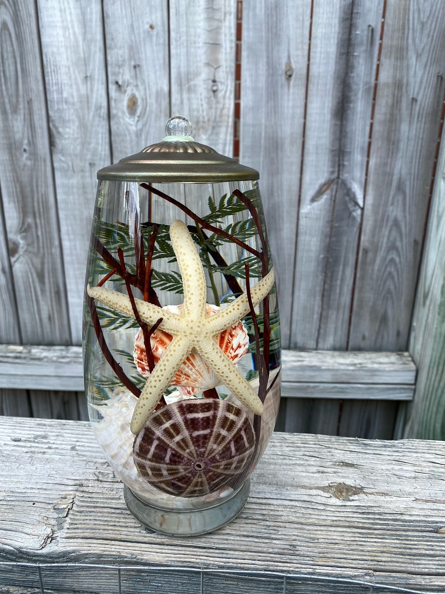 Seashell Lifetime Candle (9-Styles)