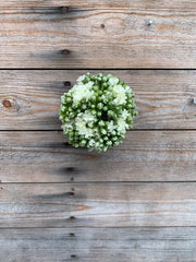 5'' White Kalanchoe Ball