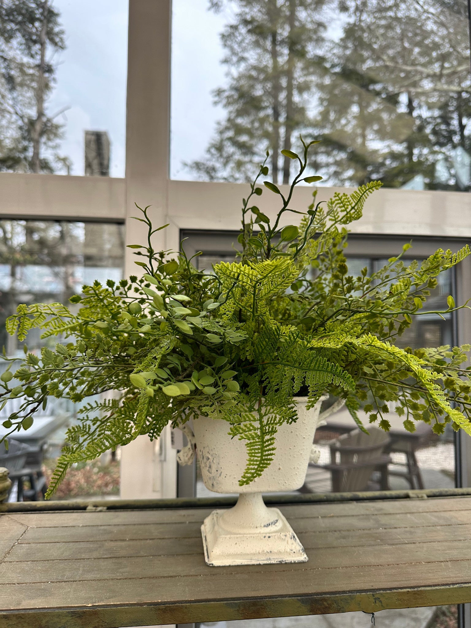 Mixed Fern in Pedestal Container