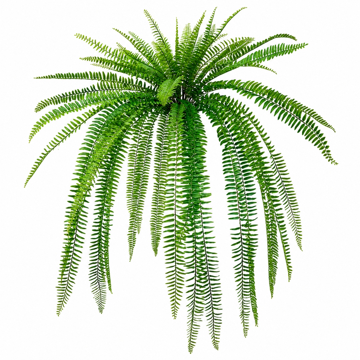 Real Touch UV Protected Boston Fern (2-Sizes)