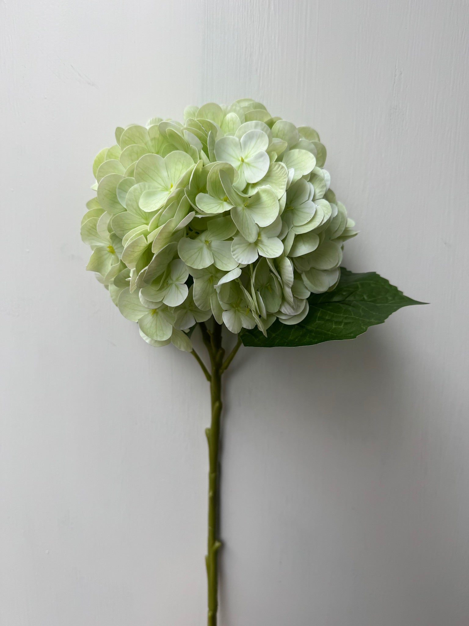 Natural Touch Vibrant Hydrangea (5-Colors)