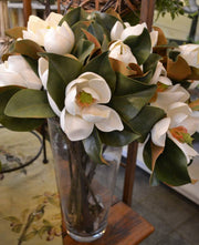 Small Magnolia Bloom