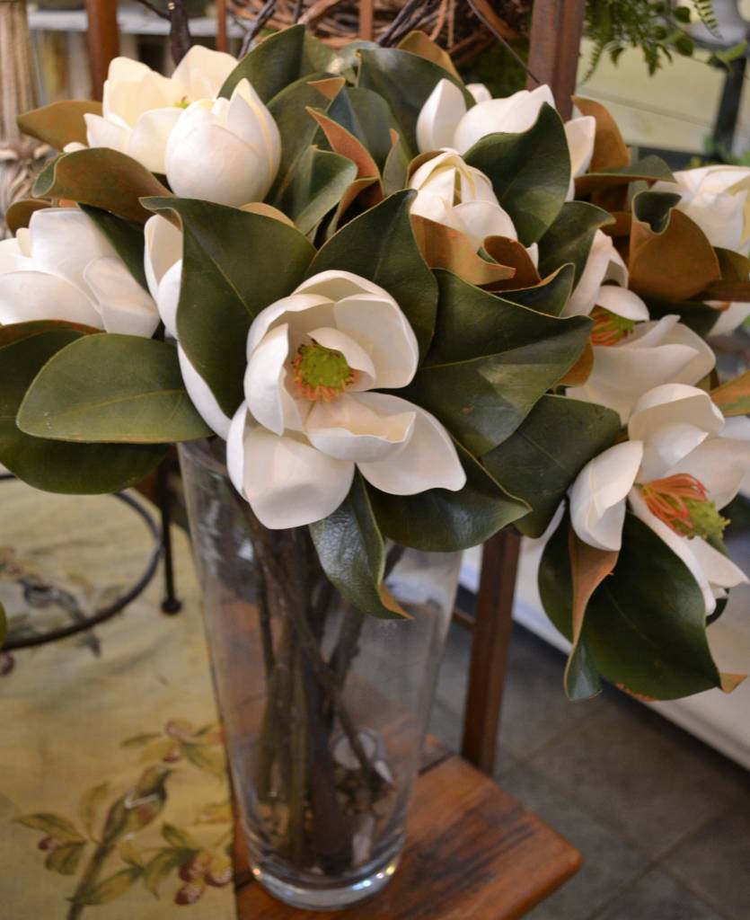 Small Magnolia Bloom
