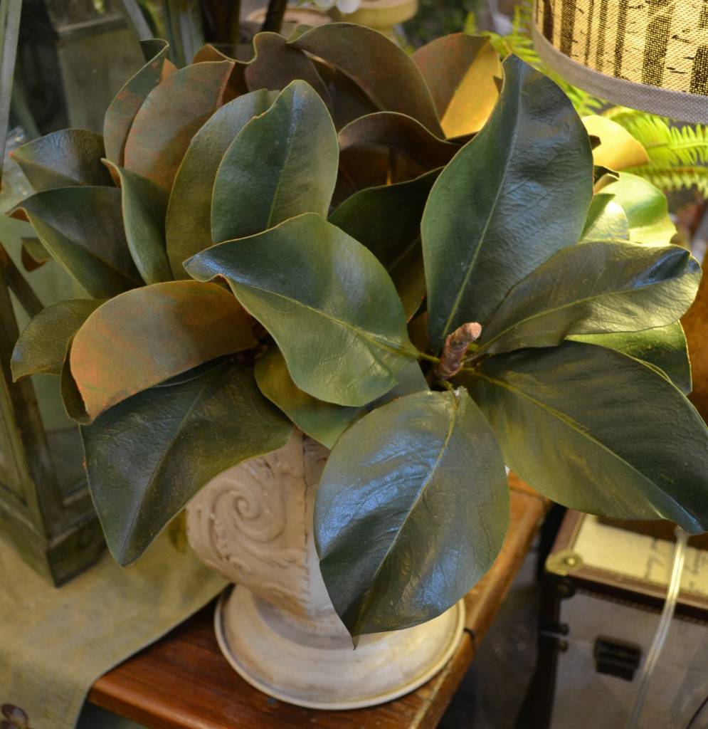 Magnolia Leaf Pick