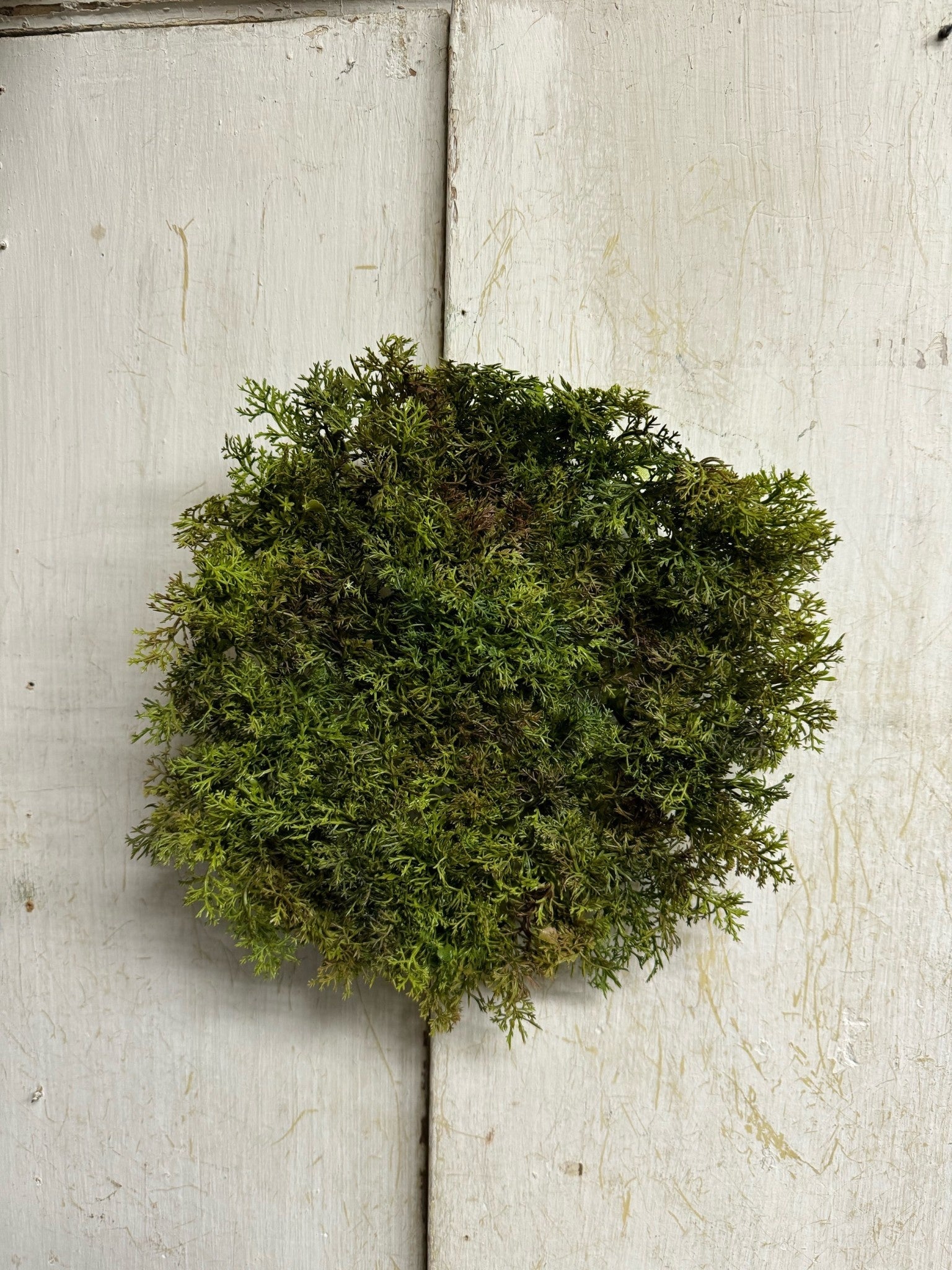 Faux Green Moss Mat (2-Sizes)