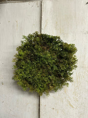 Faux Green Moss Mat (2-Sizes)