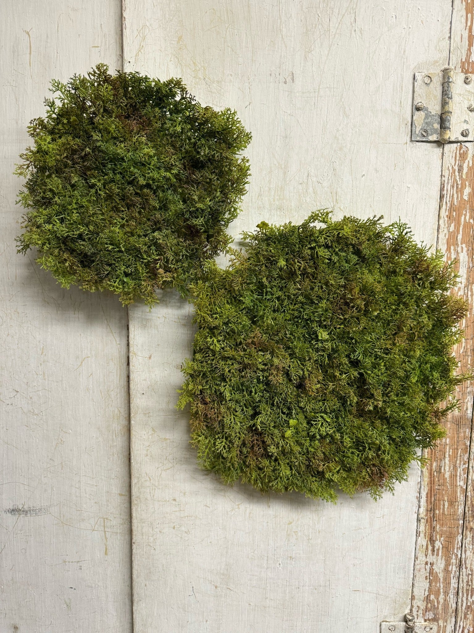 Faux Green Moss Mat (2-Sizes)