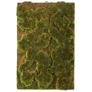 Artificial Moss Wall Plaque