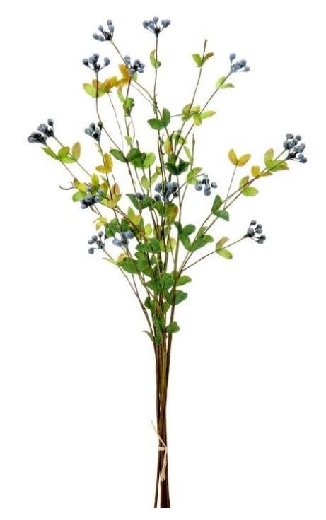 Wild Blueberry Foliage Bundle
