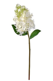 White Green Pinnacle Hydrangea Stem