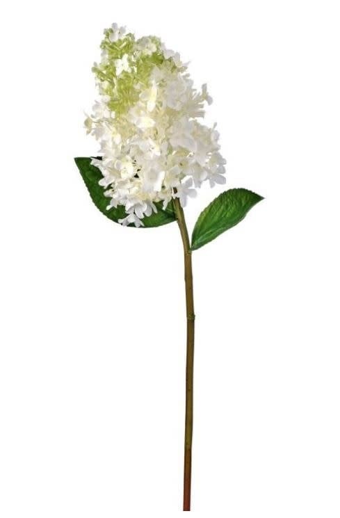 White Green Pinnacle Hydrangea Stem