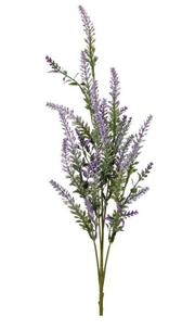 Highland Lavender Spray