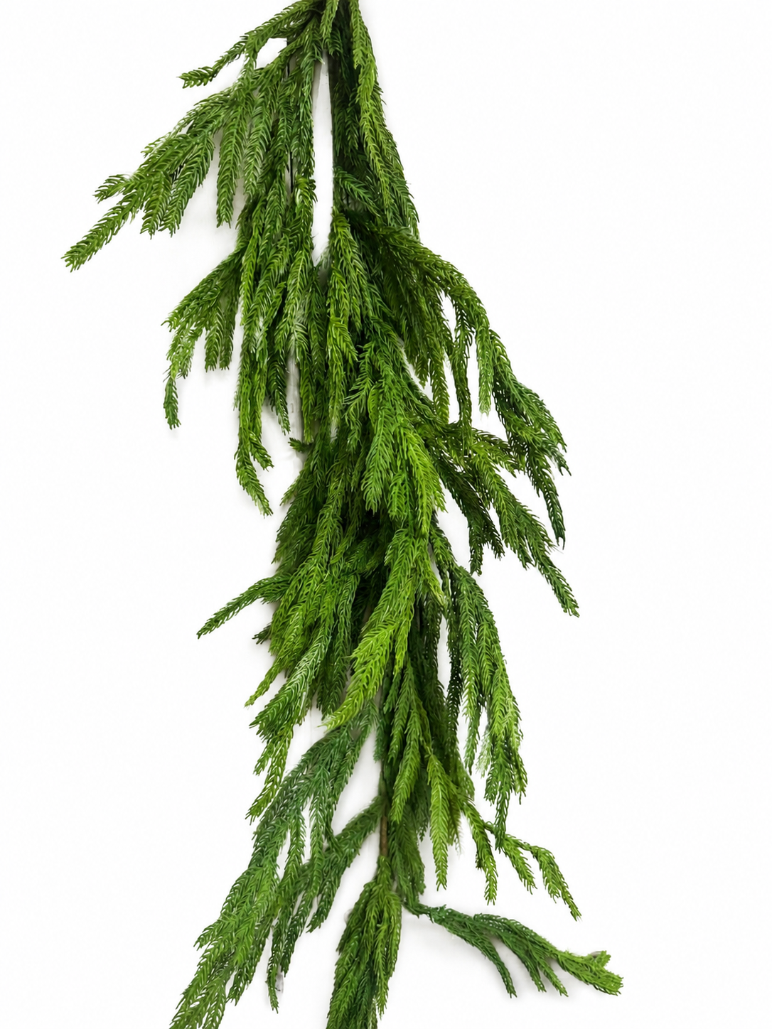 5-ft. Natural Touch Norfolk Pine Garland