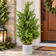 50" Potted Natural Touch Norfolk Pine Tree
