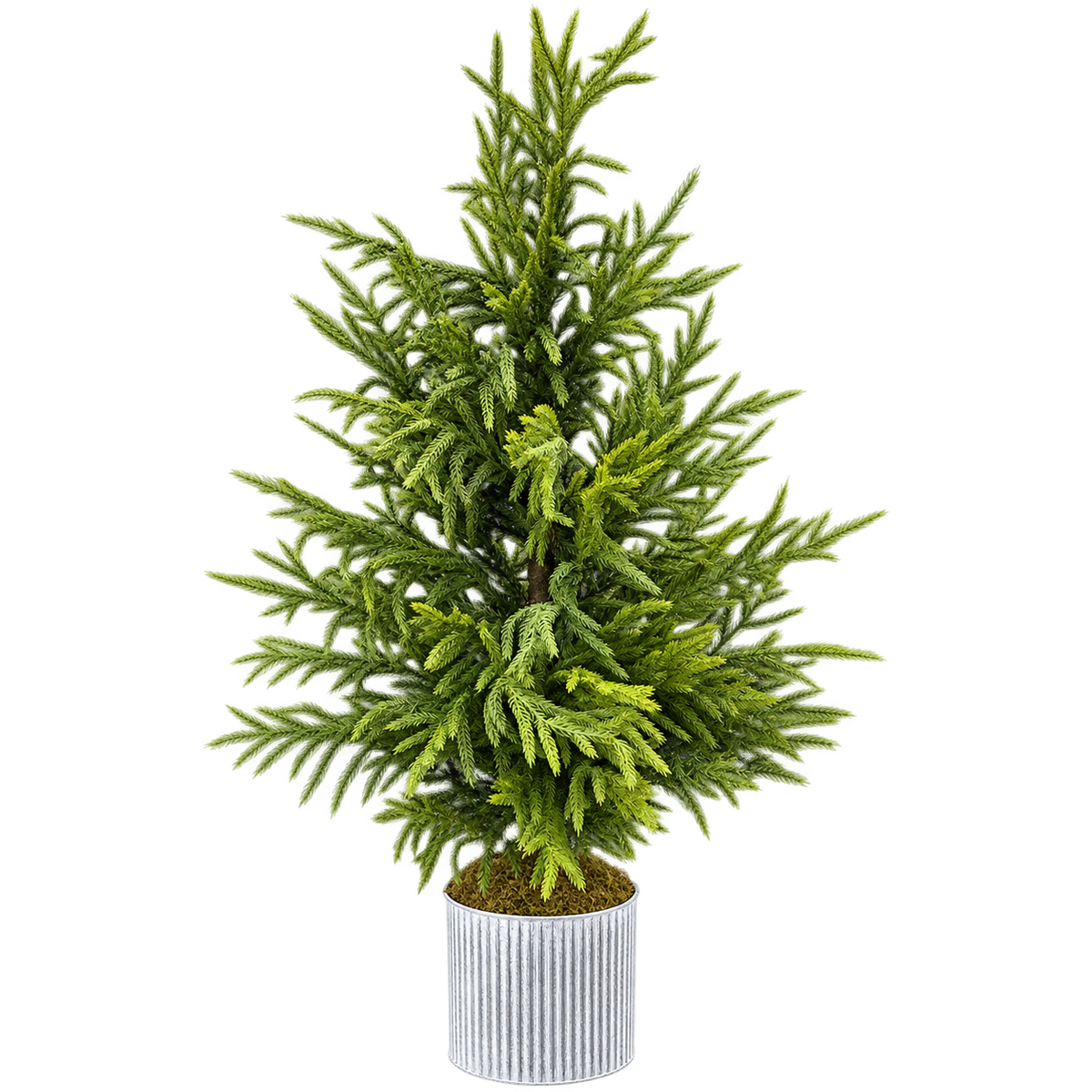 50" Potted Natural Touch Norfolk Pine Tree