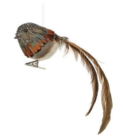 8" Natural Feathered Bird Ornament
