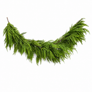72" Natural Touch Cedar Norfolk Pine Garland