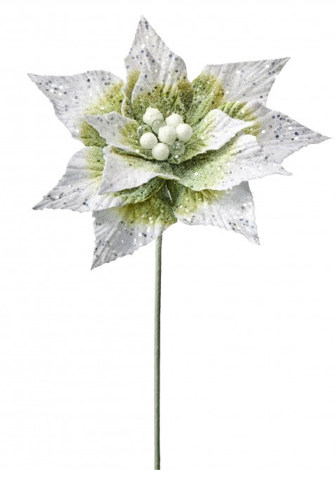 21" Snowy Winter Sage Poinsettia