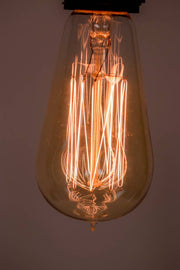 Vertical Edison Light Bulb