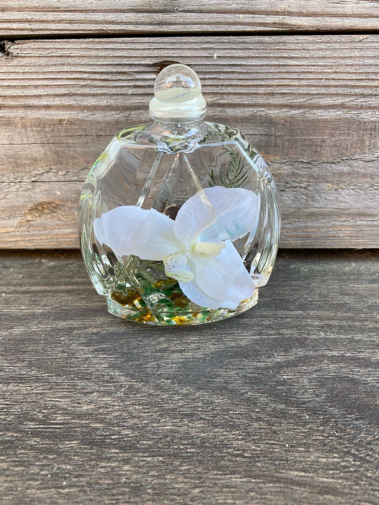 Phalaenopsis Orchid Lifetime Oil Candle (7-Styles)
