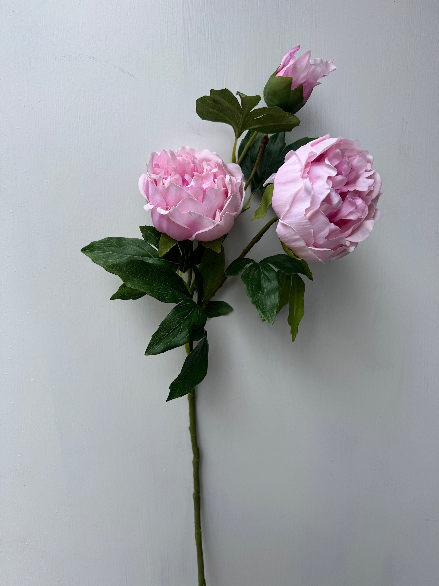 Natural Touch Ruffled Peony (3-Colors) (2-Sizes)