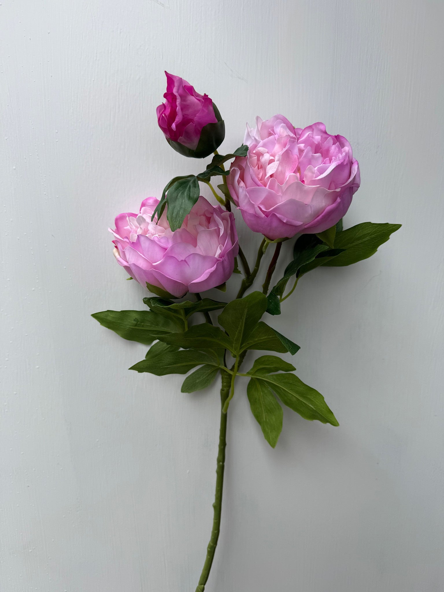 Natural Touch Ruffled Peony (3-Colors) (2-Sizes)