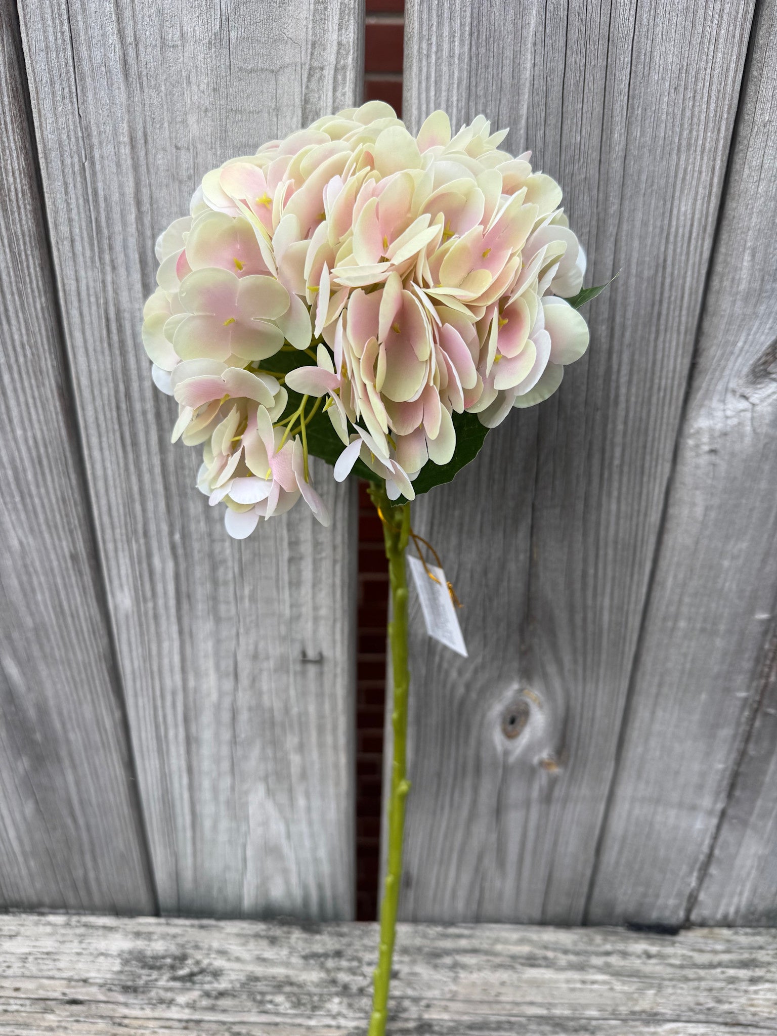 Natural Touch Vibrant Hydrangea (5-Colors)