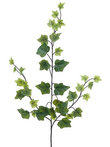 Green Ivy Spray