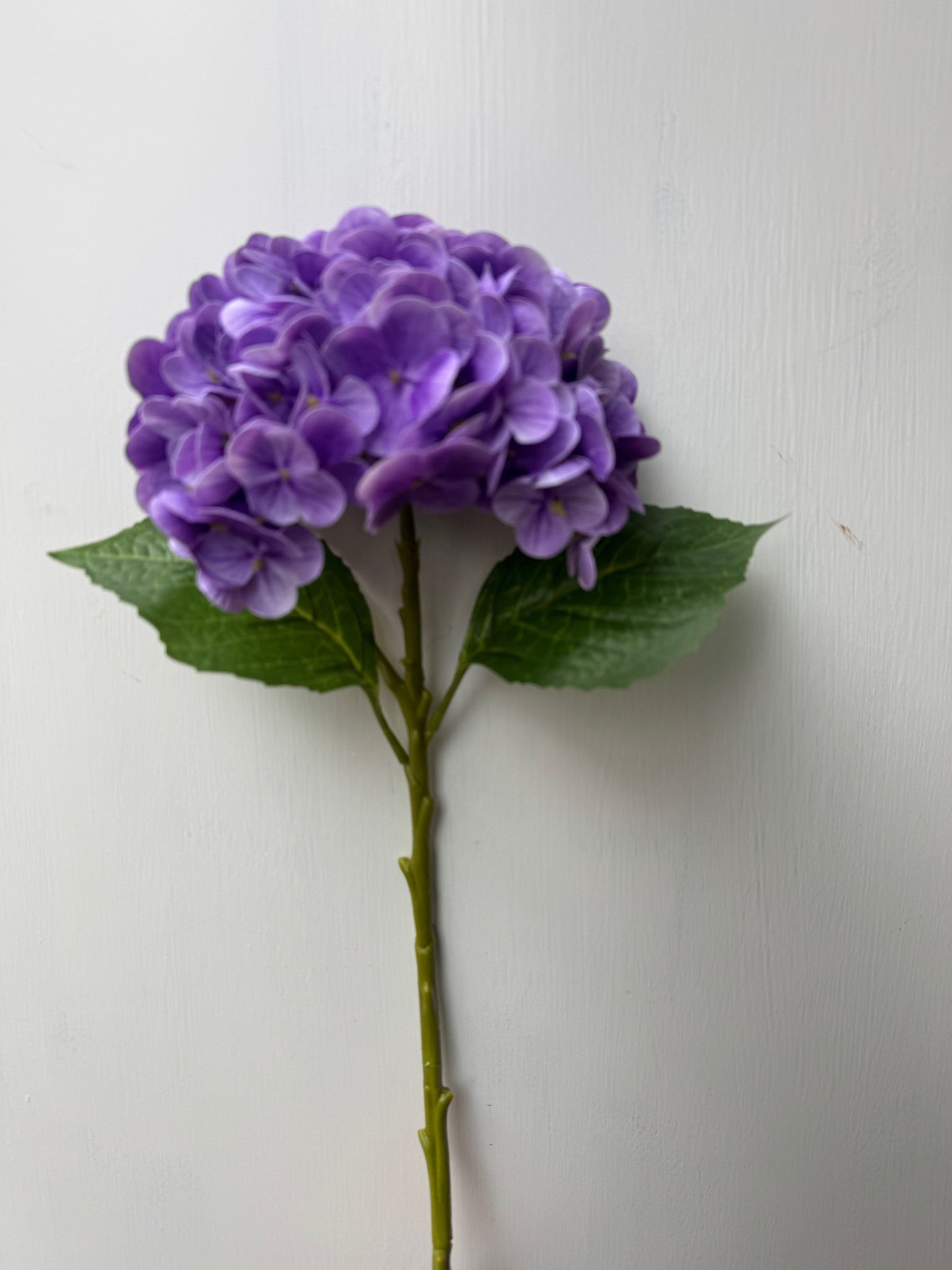 Natural Touch Vibrant Hydrangea (5-Colors)