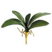13" Phalaenopsis Leaf Spray