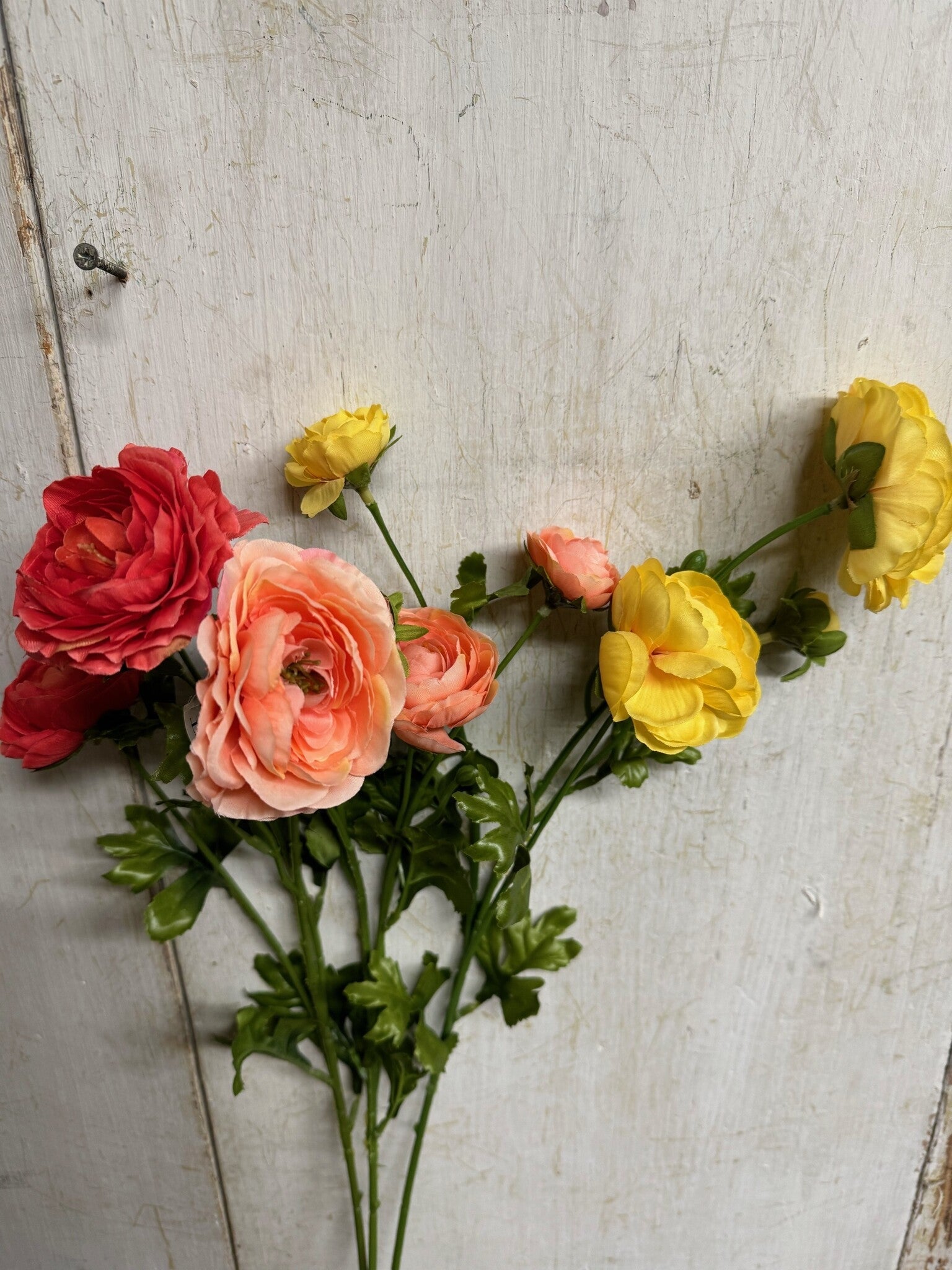 Triple Bloom Ranunculus (3-Colors)
