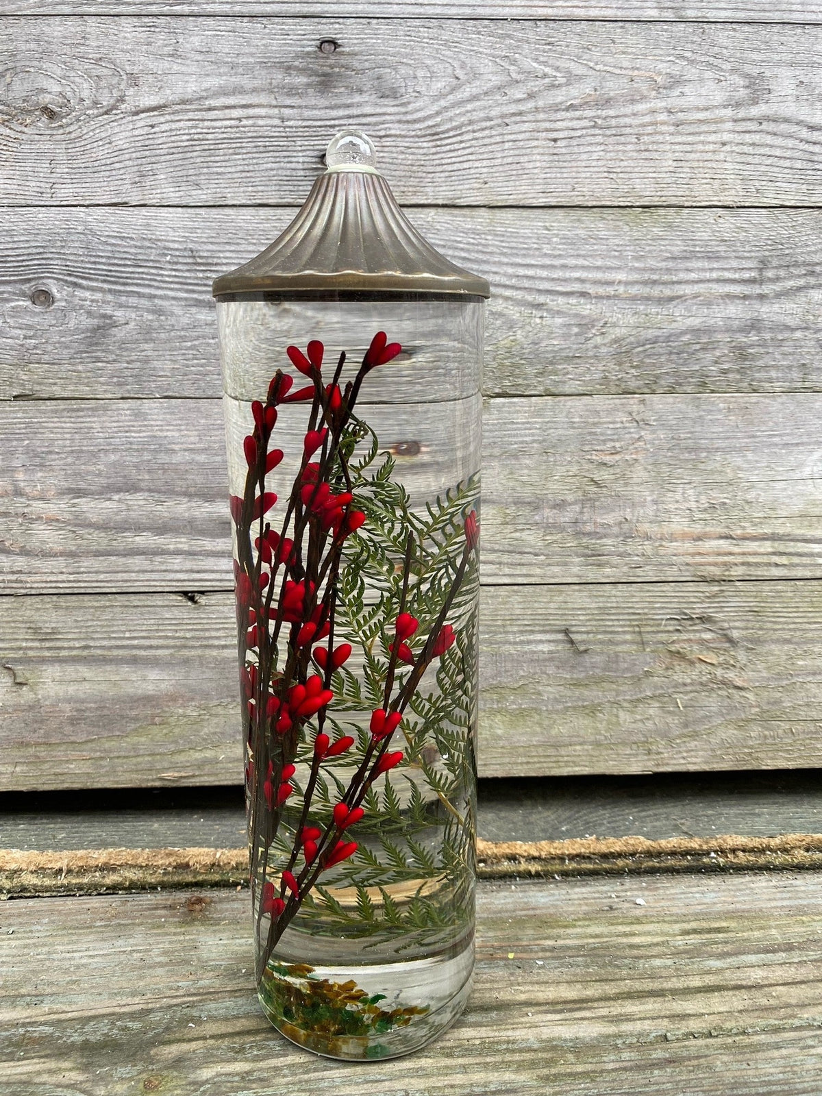Red Berry Fern Lifetime Oil Candle (5 Sizes)
