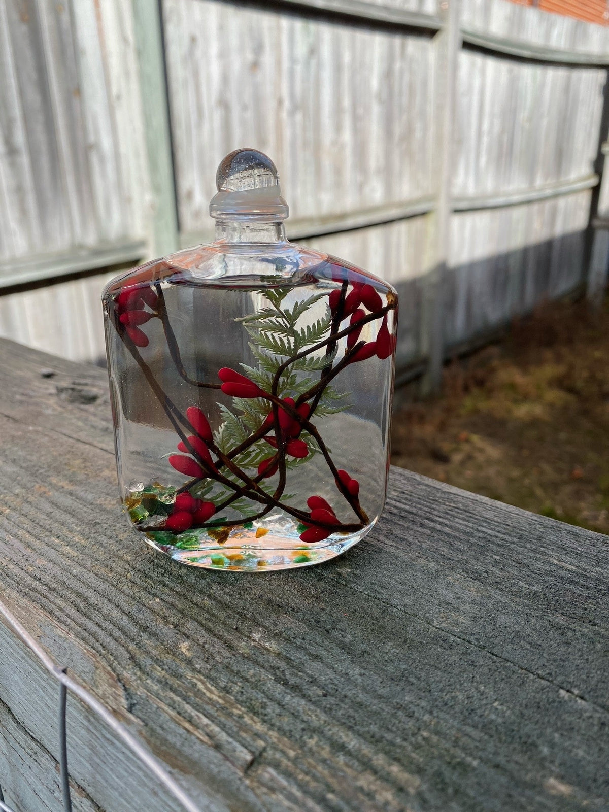 Red Berry Fern Lifetime Oil Candle (5 Sizes)