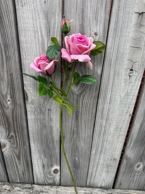 Natural Touch Luscious Garden Rose (5-Colors)